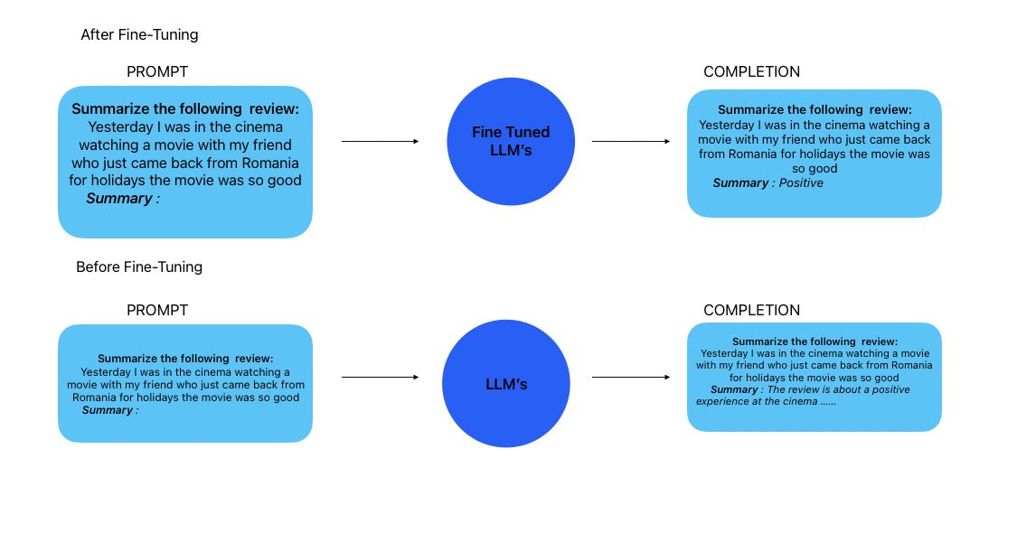 Fine-tuning Process