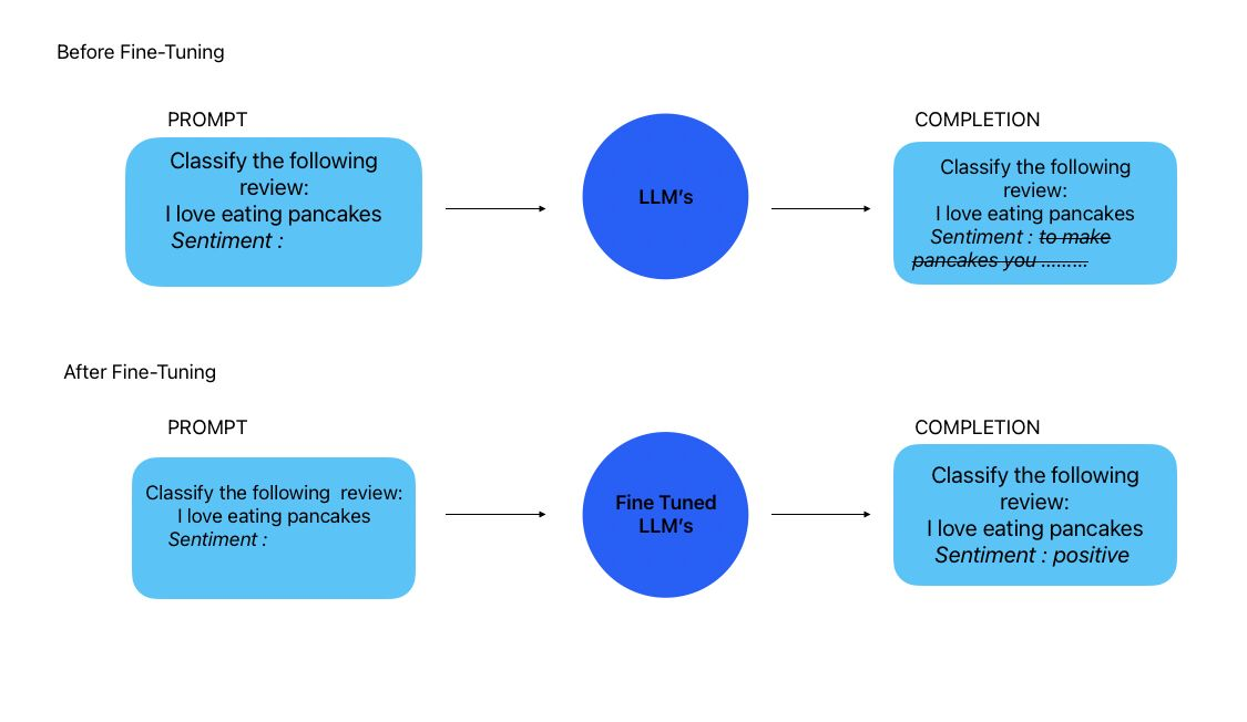 Fine-tuning Process